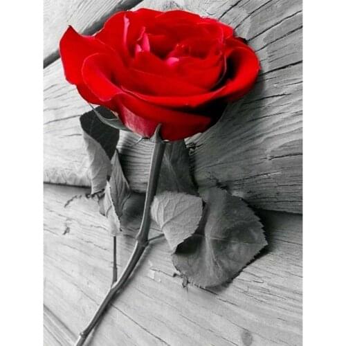 Flower Rose DIY Cross Stitch 11CT Embroidery Kits Craft Needlework Set Printed Canvas Cotton Thread Home Decoration On Sale New