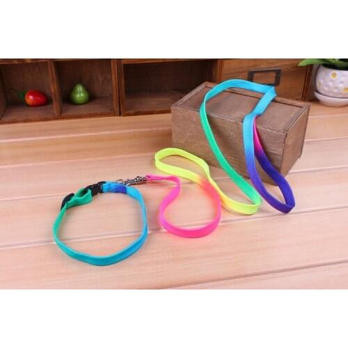 Pet dog cat collar+leash rainbow collar for dog colorful dog collar leash puppy collar with leash 110cm with bell pet products