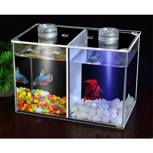 Dual compartment acrylic fish bowls mini desktop fish tank aquarium with LED imitation water plant