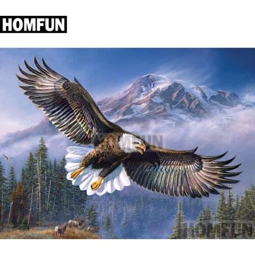 HOMFUN Full Square/Round Drill 5D DIY Diamond Painting "Eagle flying" Embroidery Cross Stitch 5D Home Decor Gift A02039