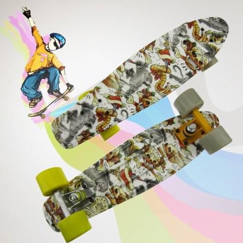 Free Shipping Printed 22"Complete Skateboard Plastic Skate Board for Boy Girl Outdoor Activities waveboard CL43
