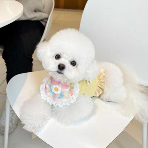 Pet Dog Bandana Cute Dog Plaid Lace Bib Pet Saliva Towel Bichon Teddy Hiromi Bib Cat Decoration Pet Memorial Christmas Cat