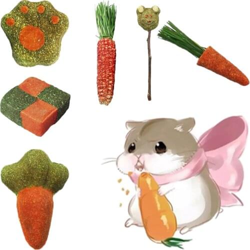 Hamster Rabbit Chew Toy Pets Grinding Teeth Cake Cookie Animals Rabbit Chinchilla Guniea Pig Molar Chew Play Toy Pet Supplies