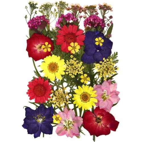 Dried Flowers Resin Filling Natural Flower Stickers DIY Epoxy Resin Filling Jewelry Making Dry Beauty UV Resin Craft Decoration