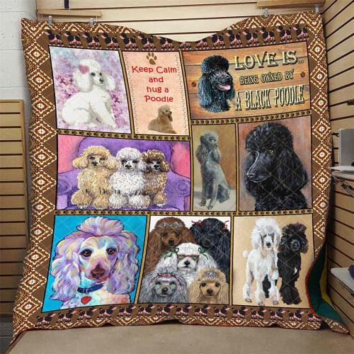3D Poodle Quilt Cartoon Beautiful Elegant High End School Kids Adults Bed Summer Autumn Comfortable Quilt Soft Hot Sales