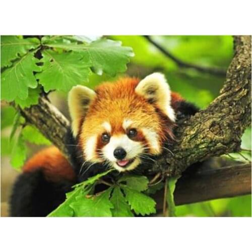 5D DIY Full Round/Square Diamond Painting Animals Red Panda Cross Stitch 3D Embroidery Rhinestone Mosaic Home Decor Gift Y468