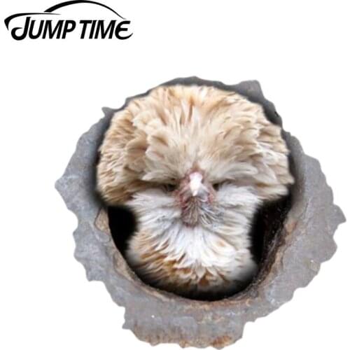 Jump Time 13cm x 12.1cm Frizzle Polish hen car decal 3D Pet Graphic Vinyl Decal Car Window Laptop Bumper Animal Car Stickers