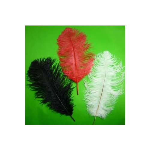 Ostrich Feathers For Appearing Cane and Vanish Cane (Three color for choice) - Silk&Cane Magic Trick,Magic Accessories