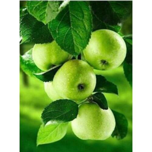 DIY 5D Diamond Painting Fruit Diamond Embroidery Full Round Drill Mosaic Picture Rhinestone Cross Stitch Home Decor FH464