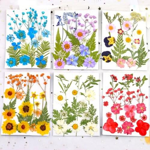 1 Pack Dried Flowers UV Resin Natural Flower Stickers Dry Plants for Aromatherapy Candle DIY Epoxy Resin Pendant Jewelry Making