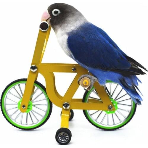 2 Sizes Metal Parrot Bicycle Toy Bird Training Intellectual Toys Pet Bird Training Supplies Tool Bird Foot Talon Parrot Bicycle