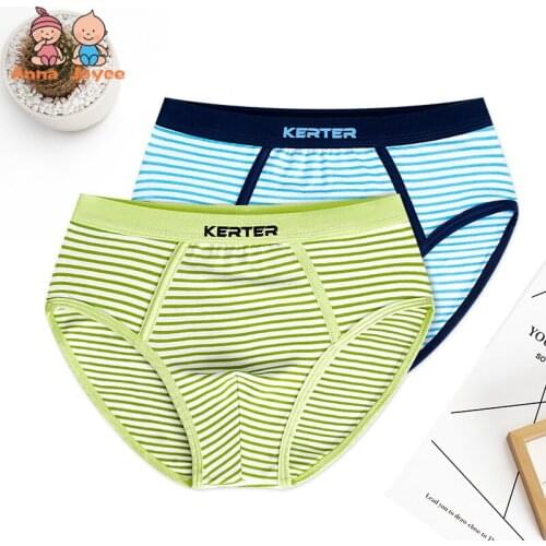 4Pcs/Lot Boy Underwear Triangle Cotton Childrens Underwear Boys Teen Underpants FYFP94