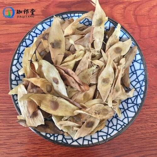 Ailanthus Altissima Mill. Swingle Fruit of Treeofheaven Ailanthus Feng Yan Cao