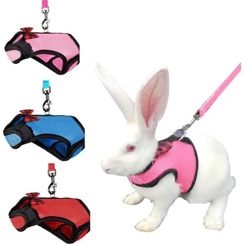 Pet Mesh Soft Harness With Leash Small Animal Vest Lead For Hamster Rabbit Bunny Small Animal Pet Accessories Belt Lead Set