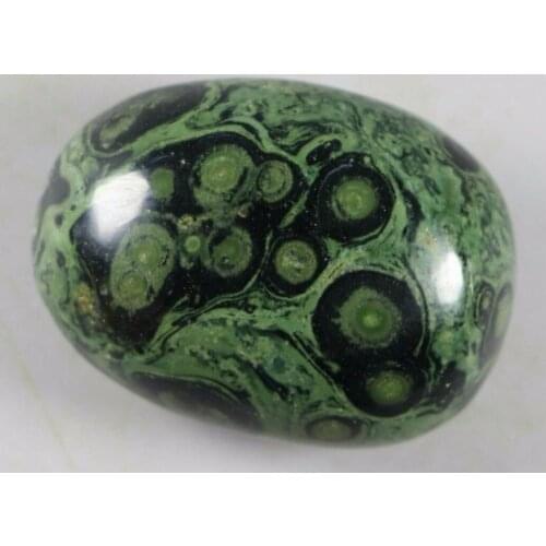 1PCS EYE GREEN KAMBABA JASPER STROMATOLITE FOSSIL Gem Stone Healing
