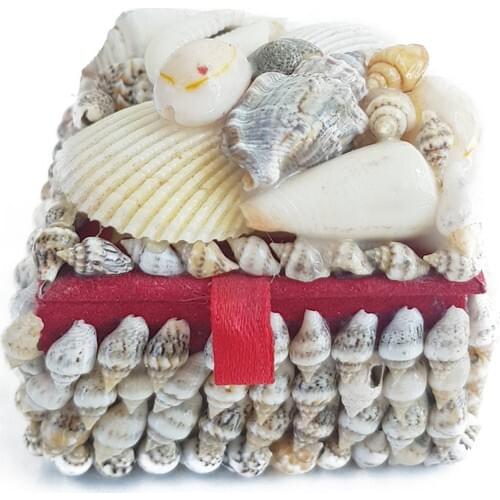Kefelim Sea Shell and Sea Sand Coated Handmade Jewelry Jewelry Box