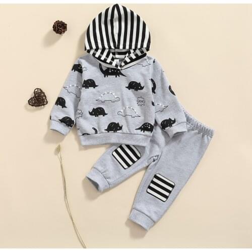 Newborn Baby Boys Clothes Set Dinosaur Print Long Sleeve Hooded Tops Trousers 2Pcs Autumn Toddler Infant Clothing Outfits