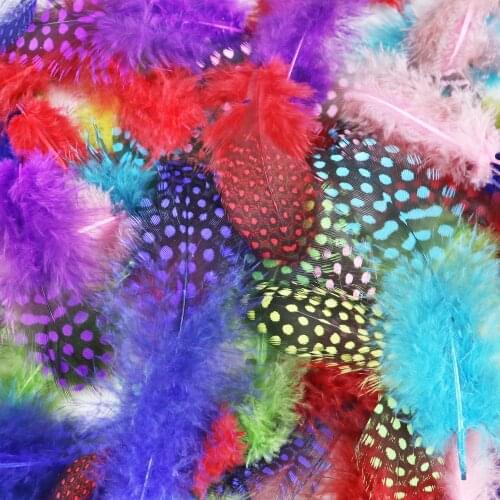 25pcs Natural Guinea Fowl Spotted Feather Crafts Chicken Feather Beautiful Gull Extension Feathers for Home Decor feather 5-10cm