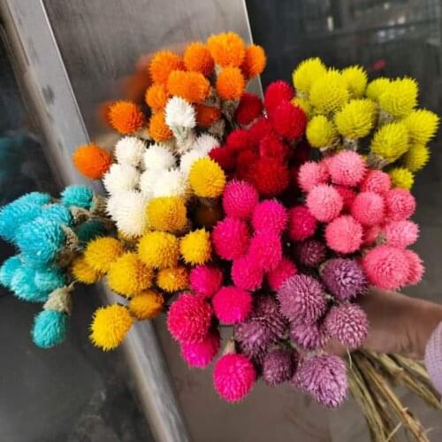 1 bouquet Strawberry fruit real dried flower for diy craft wedding party home flower arrangement decoration