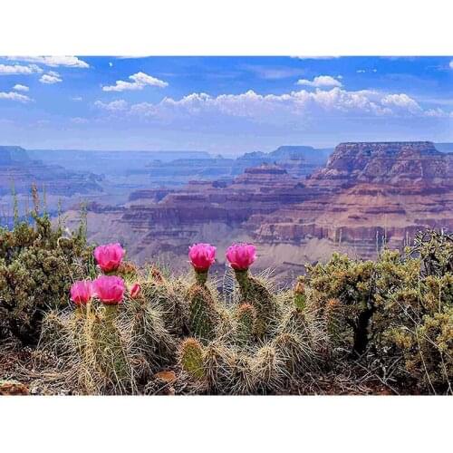 CHENISTORY 5D DIY Diamond Painting Mountain Full Square Round Diamond Embroidery Flower Cross Stitch Adult Mosaic Art Home Decor