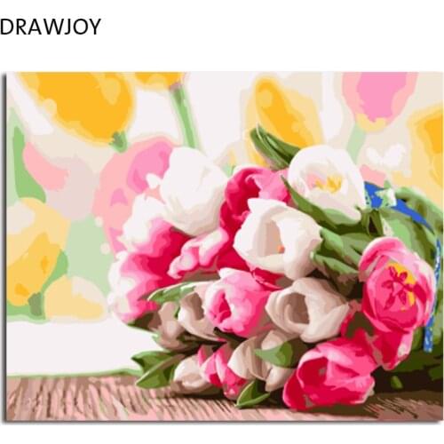 DRAWJOY Framed Oil Paint DIY Painting By Numbers Coloring By Numbers Of Flower Home Decoration 40*50cm
