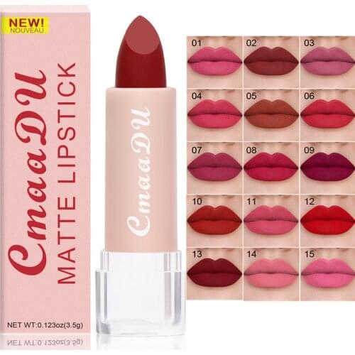 15 Colors Waterproof Lipstick Matte Velvet Mental Lip Gloss Nude Shimmering Long Lasting Lip Gloss Beauty Red Lip Tint Makeup