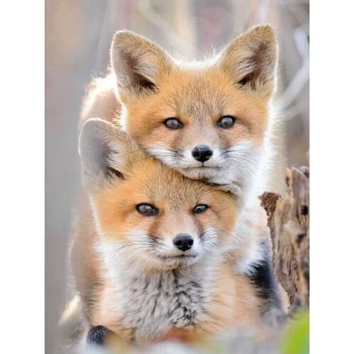 GELANYOUPIN 5D DIY Diamond Painting Cute Fox Embroidery Full Round Diamond Cross Stitch Rhinestone Mosaic Painting Decor