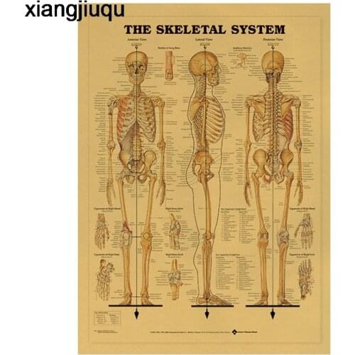 Human Skeleton Kraft Paper Poster Vintage Nostalgic Human Muscles Bones Wall Stickers Decoration Anatomy Picture 42*30cm