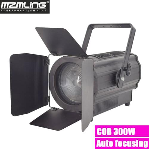 LED 300w COB White/Warm White Studio Light DMX512 Par Light Stage Light DJ /Bar /Party /Show Led Stage Machine