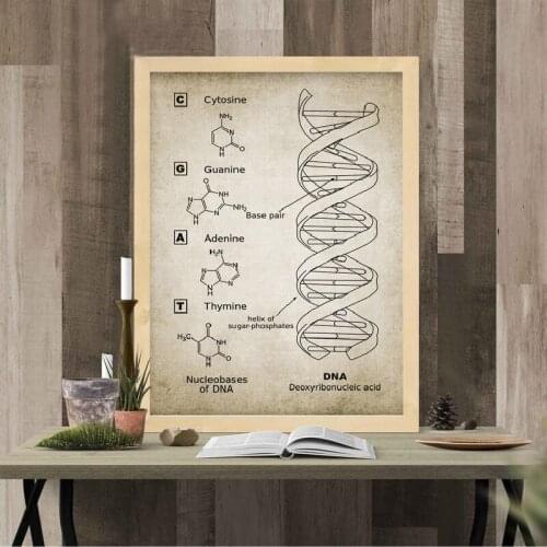 DNA and RNA Genetic Code Wall Art Canvas Painting Prints Genetics Biochemistry Wall Decor Posters Science Student Gift Vintage