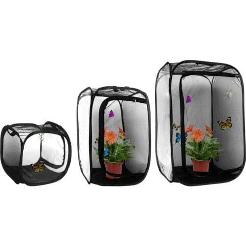 Butterfly Cage Black Mini Insect Habitat Popup Collapsible Insect Mesh Cage Plant Greenhouse Box Mantis Stick Insect Feeding Box