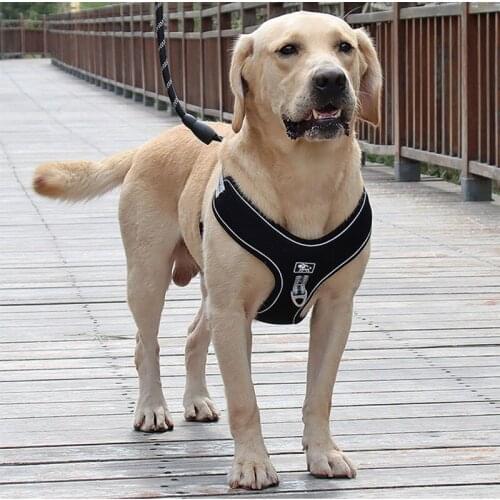 Pets Dog Harness Vests No Pull Adjustable Reflective Breathable Light Vest-Style Chests Straps Small Medium Large Pet Vest