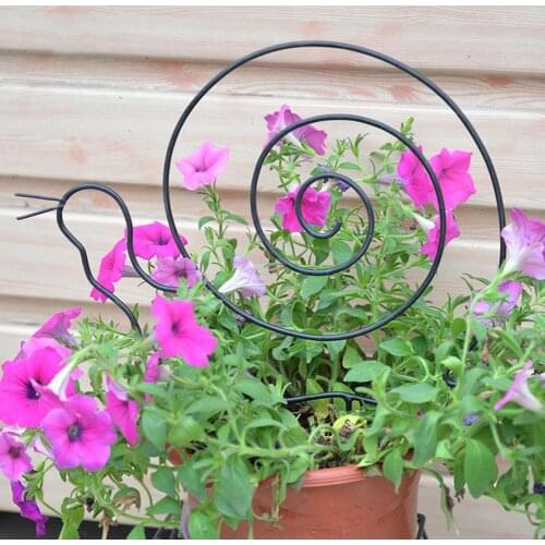 Iron Garden Trellis For Climbing Plants Rust Free Vine Plant Metal Support Wire With Black Coating Decor For Climbing Plants