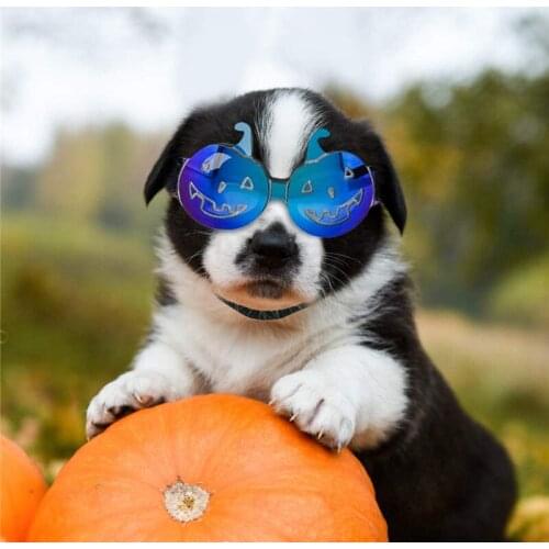 10 Pcs Small Dog Sunglasses Waterproof Windproof UV Protection for Doggy Puppy Cat Halloween Pet Goggles Glasses Wholesale X2