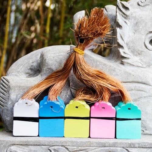 100Pc Colorful Plant Labels PVC Plastic Waterproof Tag Nursery Trees Flowers Bonsai Succulent Seedings mark Gardening Decoration