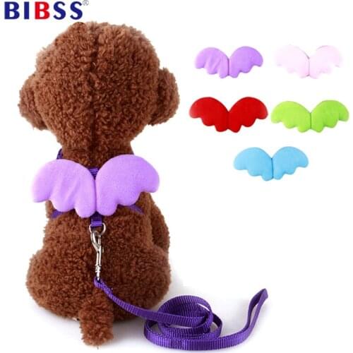 Outdoor Angle Wings Pet Dog Harness Cute Dog Lead Leash Training Metal Chian Dog Accessories for Small Dogs Kitten Strap