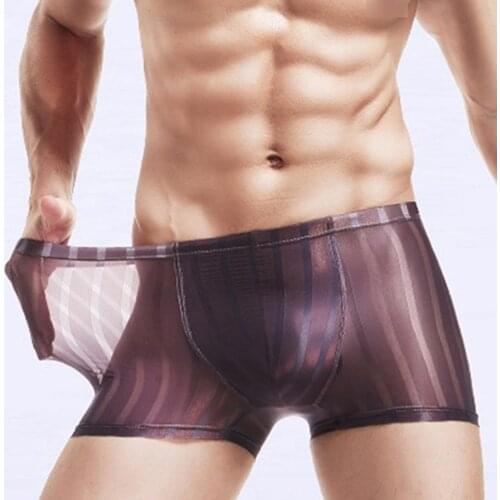 U Convex Cueca Boxers Mens Sexy Boxer Briefs Ice Silk Cool Seamless Breathable Penis Pouch Shorts Underpants Transparent Panties