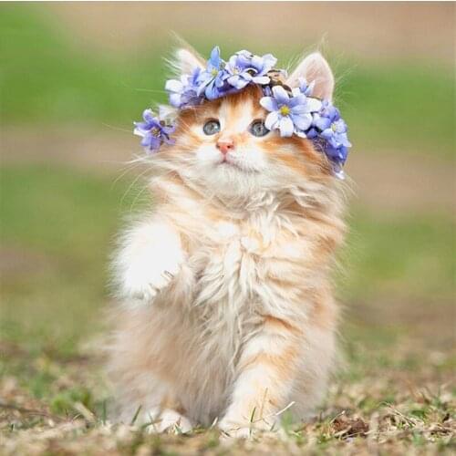 Diamond Embroidery Diy Diamond Painting Cross Stitch Kits Diamond Mosaic Cat Full Square Diamond Embroidery AD190