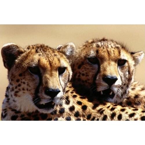 Diy Diamond painting animal Two leopards Diamond embroidery 3d square drill Diamond mosaic pasted full canvas 90*60cm