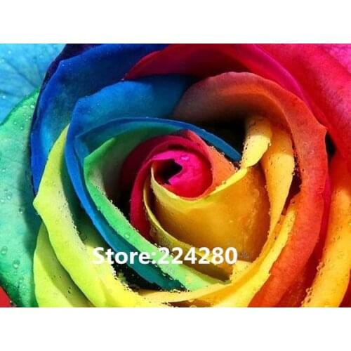 Colorful rose rainbow Needlework,embroidery, DIY Cross stitch kits,Art flowers Pattern counted Cross-Stitching home decor