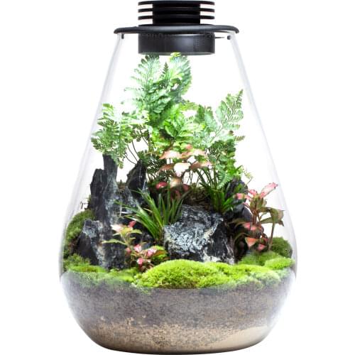 Bioloark Home And Garden Products