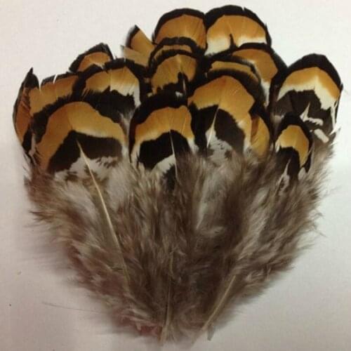 Wholesale,100PCS natural beautiful pheasant feather 2-4 inches free shipping
