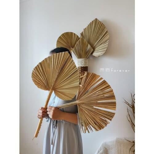 Floral Design Soft Outfit with Palm-Leaf Fan Leaf Scene Wall Background Decoration Large Sunflower Leaves Pu Fan