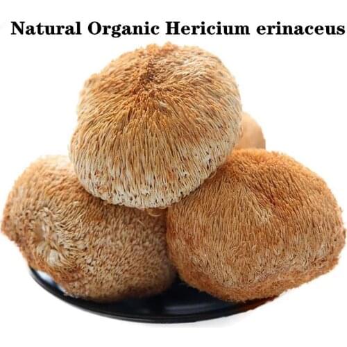 Good Quality Organic Dried Lions Mane Bearded Tooth Mushrooms Hericium Natural Organic Dried Hericium Erinaceus, Lion Mane