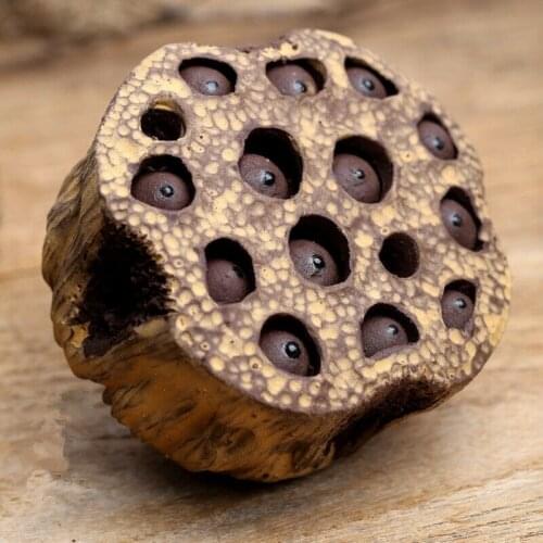 Chinese Yixing Purple Clay Handmade Lotus SeedsTea Pet Decoration