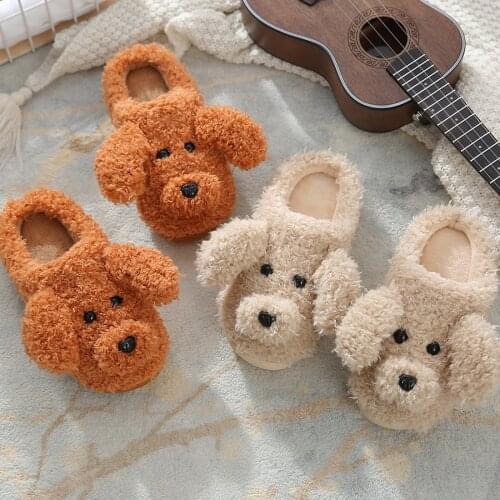 WENYUJH Woman Slippers Winter Shoes For Women New Fashion Dog Faux Fur 3cm Heel Women Shoes White Beige Plus Size 40 41