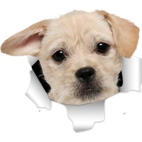 Three Ratels 3D little golden retrieverDog Stickers Super Staffie decal on Wall Fridge Toilet car bike