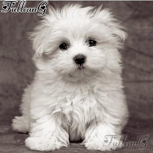 FULLCANG diy full square/round drill diamond painting young maltese dog 5d diamond mazayka embroidery white animal decor FC2123
