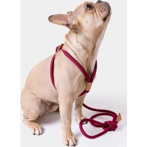 New Dog Walking Rope Pet Traction Rope Red Nylon Genuine Leather Round Ropemulti-Function Integrated Chest Back Traction Belt