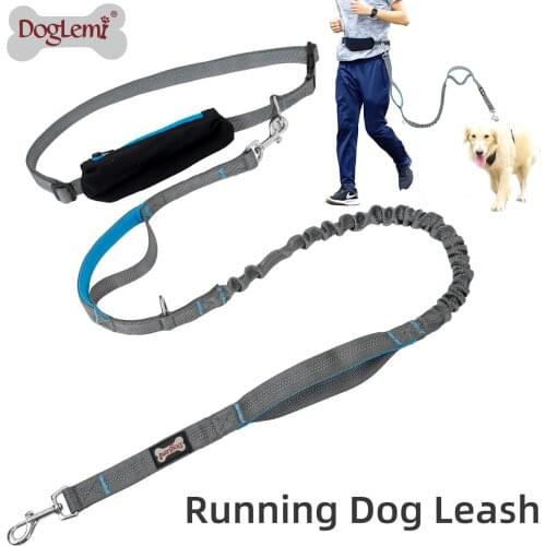 Hands Free Dog Leash Pet Lead for Running Walking Jogging Training Hiking Retractable Bungee Dog Running Waist Leash